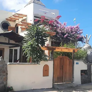 https://alma-de-cedrela.puertoayorahotels.com
